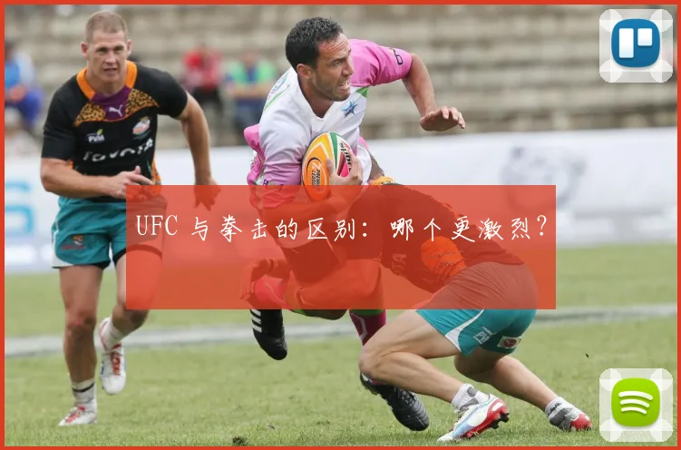 UFC 与拳击的区别：哪个更激烈？